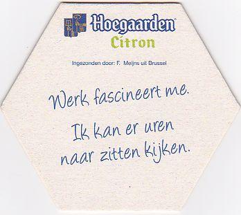 Bel hoegaarden 0077 r