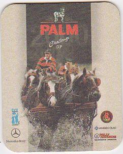 Bel palm 0015 r