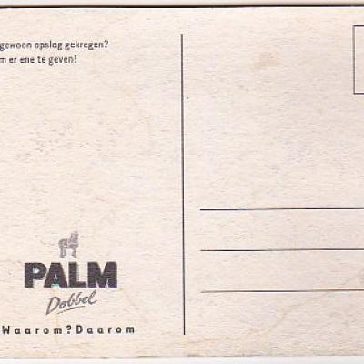 Bel palm 0025 v