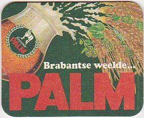 Bel palm 0042 r