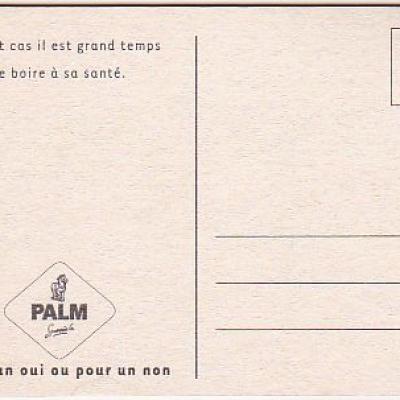 Bel palm 0084 v