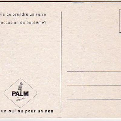 Bel palm 0085 v