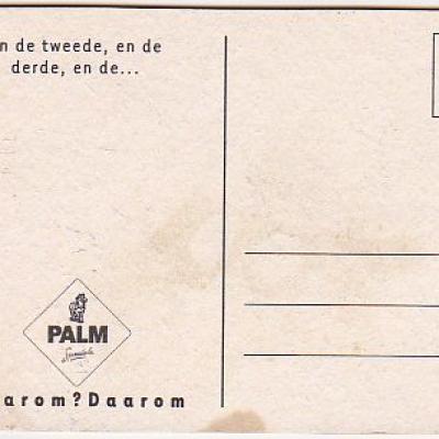 Bel palm 0087 v